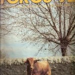 Toros 92. Nº 52. 8 de Febrero de 1989