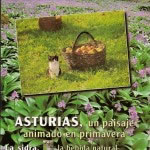Montepio de la Mineria Asturiana 1997