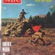 LOS DOMINGOS DE ABC. Semanal, 31 de Enero de 1971
