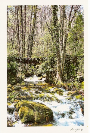 Postal de Mogarraz. Camino del Agua. Río Rumilano. Puente de Mon