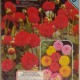 Mail Flora Primavera 1980