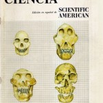 Investigación y Ciencia, mayo 1984