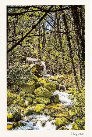 Postal de Mogarraz. Camino del agua. Cascada en el regato las Br